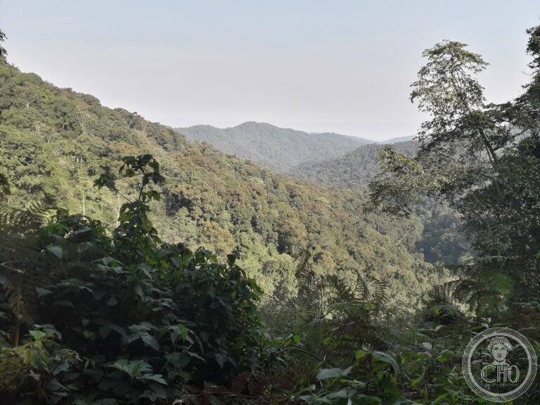 UNESCO World Heritage Sites in Uganda: the complete guide (3 sites)
