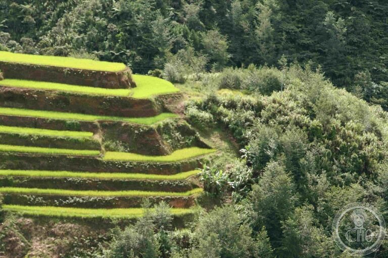 UNESCO World Heritage Sites in the Philippines: the complete guide (6 sites)
