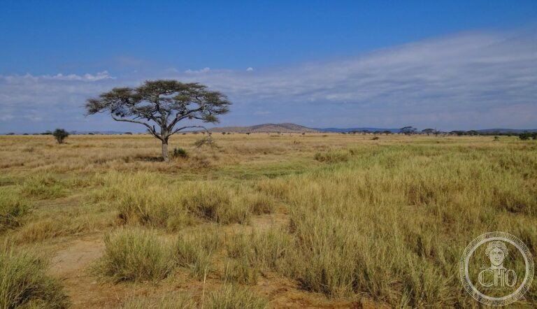 UNESCO World Heritage Sites in Tanzania: the complete guide